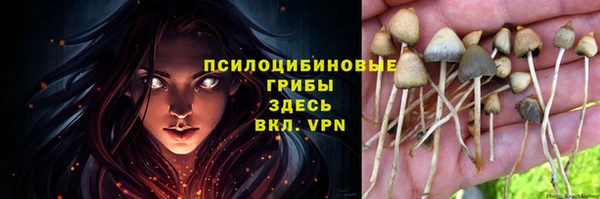 эйфоретик Балабаново