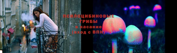 эйфоретик Баксан