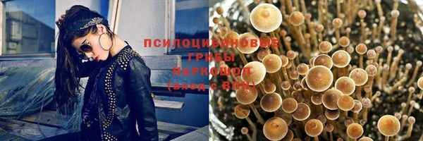 PSILOCYBIN Армянск