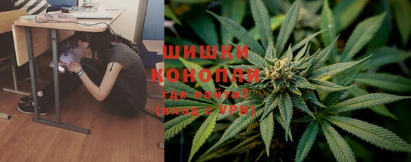 эйфоретик Баксан